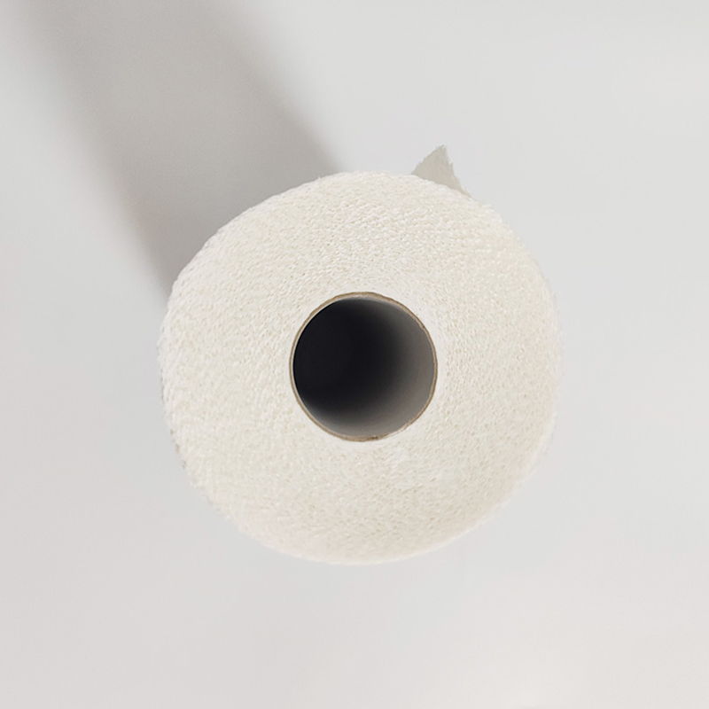 Large Roll of Paper Towels in Bulk