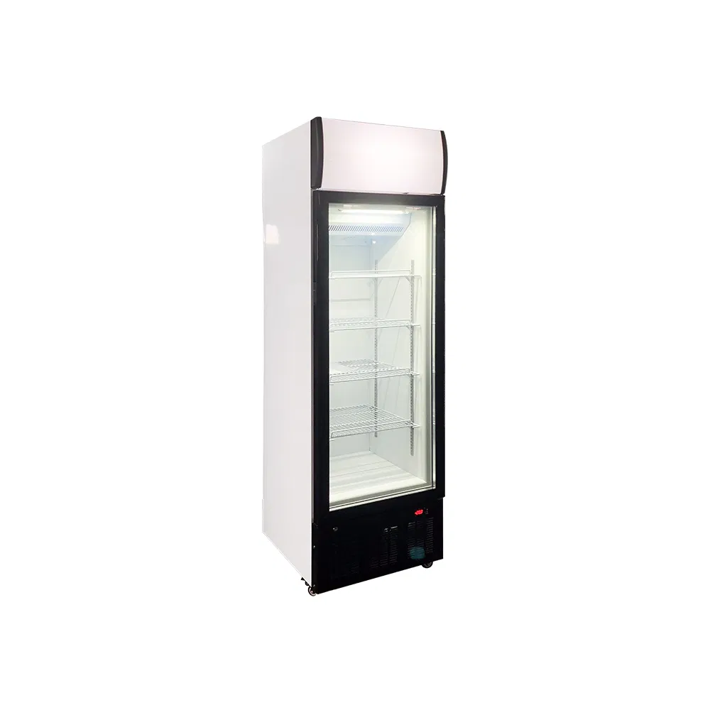 Lsd-268 Upright Freezing Showcase Display Freezer