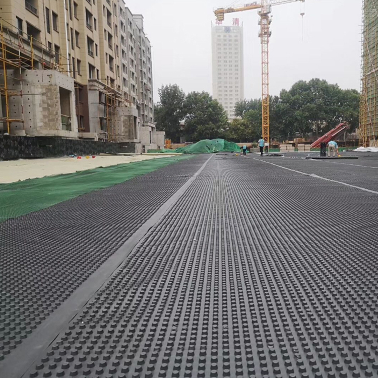 High Quality China Manufacturer Environment Plastic Drain Drainage Board Sheet Cell Cage for Roofing Garden or Deck Drainage System High-Density Polyethylene