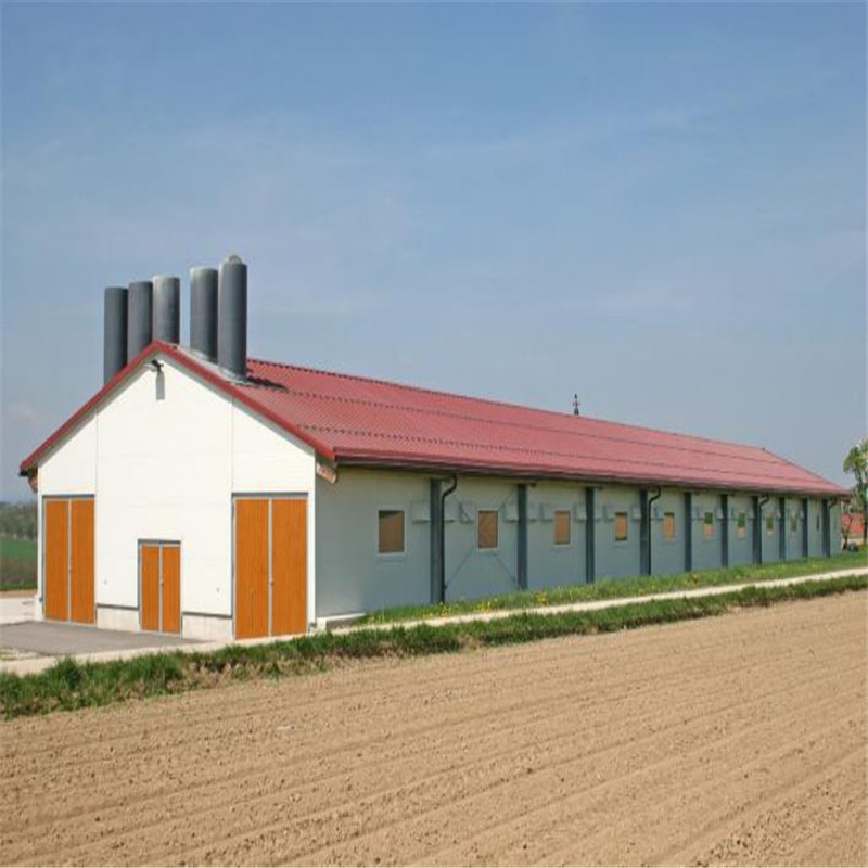 Insulated Automated Broiler/Layer Poultry Prefab Steel Frame Structure Shed Chicken House for Farm