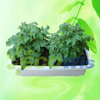 Горшок для цветов с автополивом (HT5070)