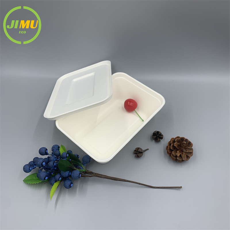 Eco Compostable Packaging 650ml Sugarcane to Go Bagasse Container with Lid Food Salad Box
