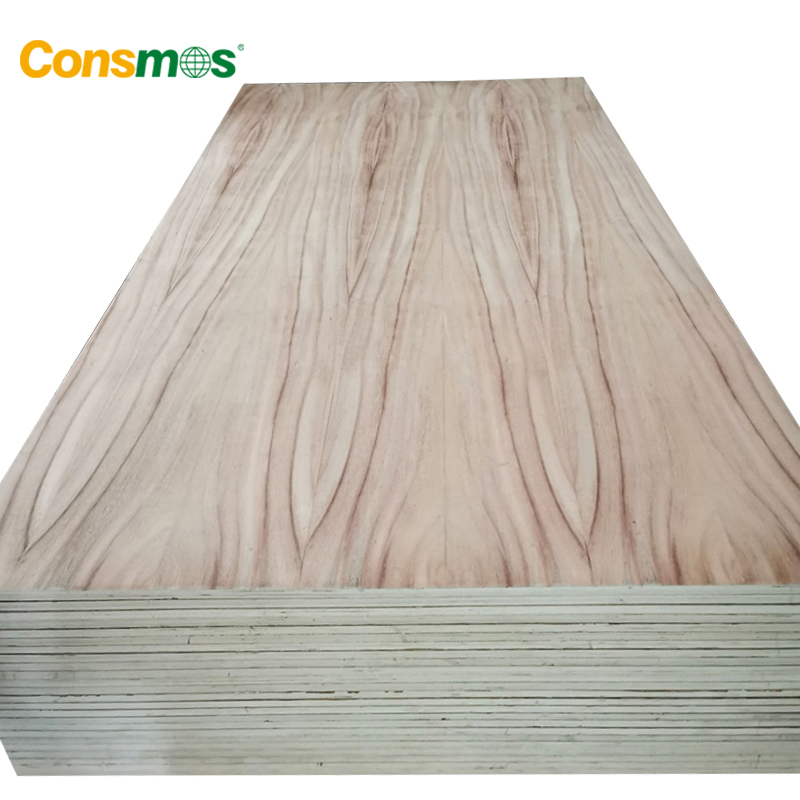 Wholesale Furniture Decoration Red Oak Black Walnut Parota Fancy Plywood