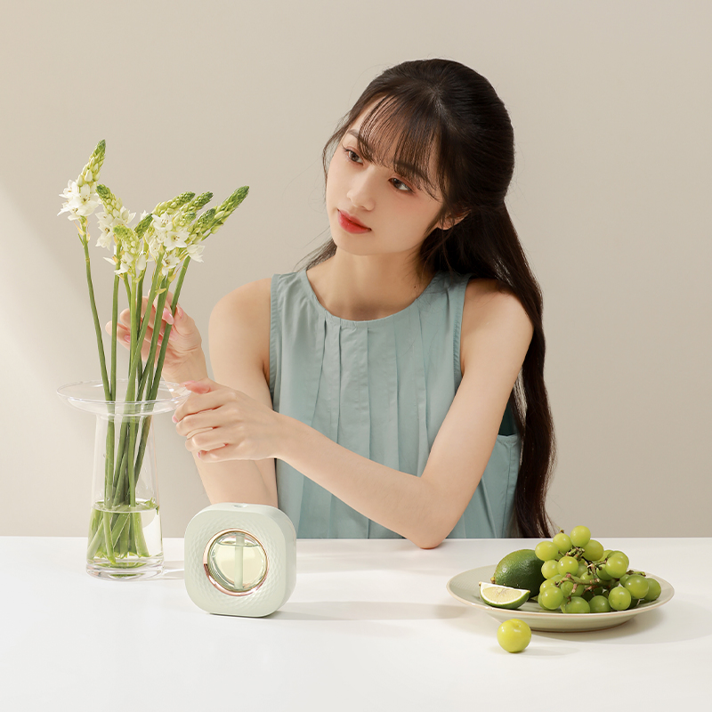 Suitable for Small Area Bedroom Car Battery Type Portable Essential Oil Diffuser