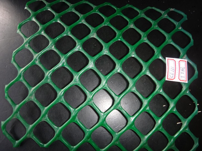 HDPE Geonet Ce131 for Parking
