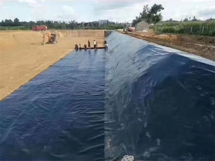 Agriculture Irrigation HDPE Liner Reservoir Dampondfish Pond Liner45 0.5mm 1.0mm HDPE Geomembrane Sewage Treatment Farm
