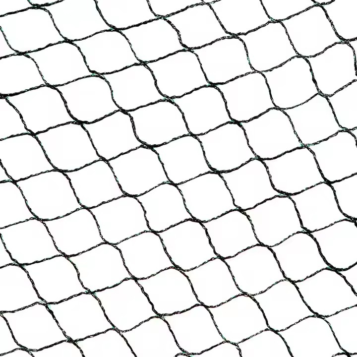 Durable Birds Net Anti Anti-Bird Nets Garden Protection HDPE Warp Knitting Hot Sale Bird Netting for Agricultural