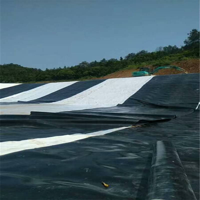 Geomembrane HDPE Liner Textured HDPE Geomembrane Composite Geomembrane Liner HDPE Liner Pond Liner Geomembrane