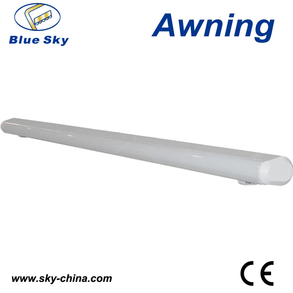 Balcony Electric Polyester Retractable Awning Full Cassette Awning Gazebo Motorized Awning (B4100)