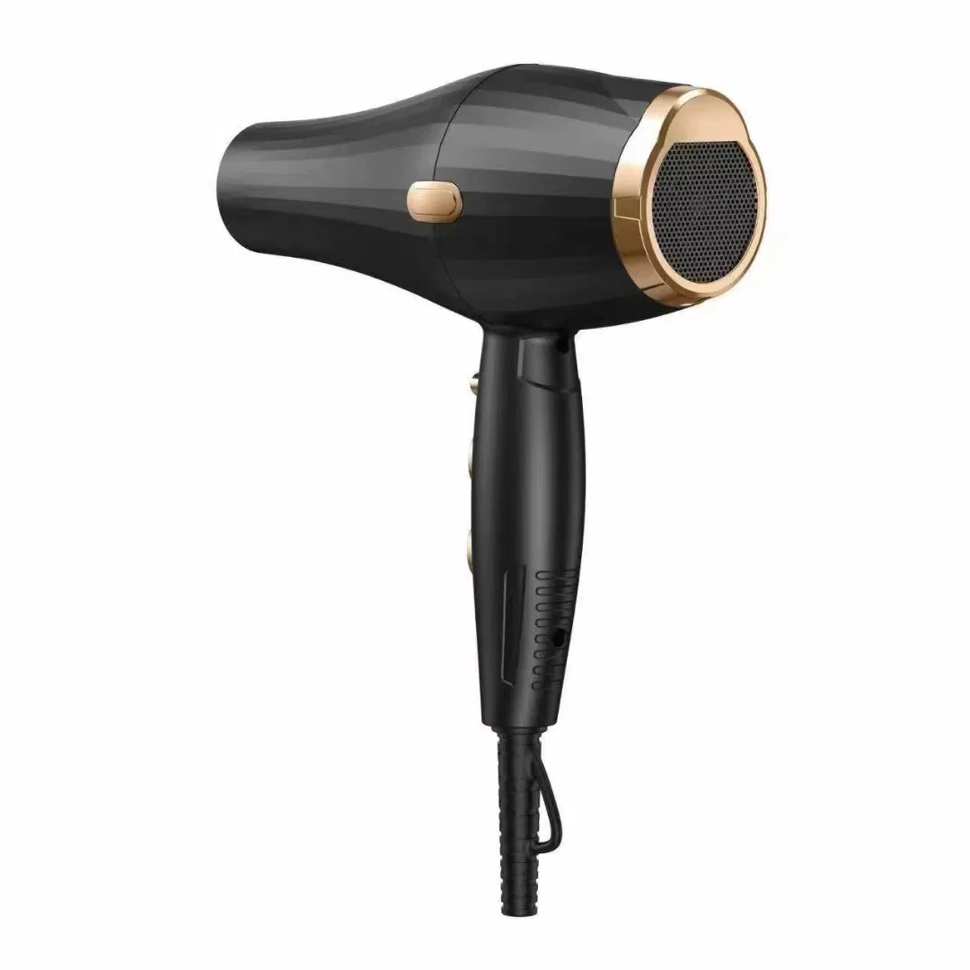 Professional Powerful Professional Hair Dryer Salon Equipment Home Hotel Hair Care