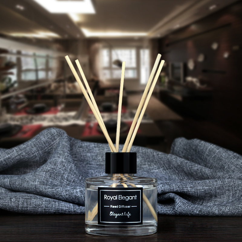 100ml New Design China Popular Reed Diffuser Aroma Freshener