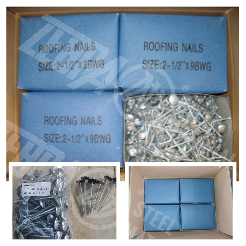 Ring Shank Nails Galvanized Roofing Nail Construction Building Quick Quotation