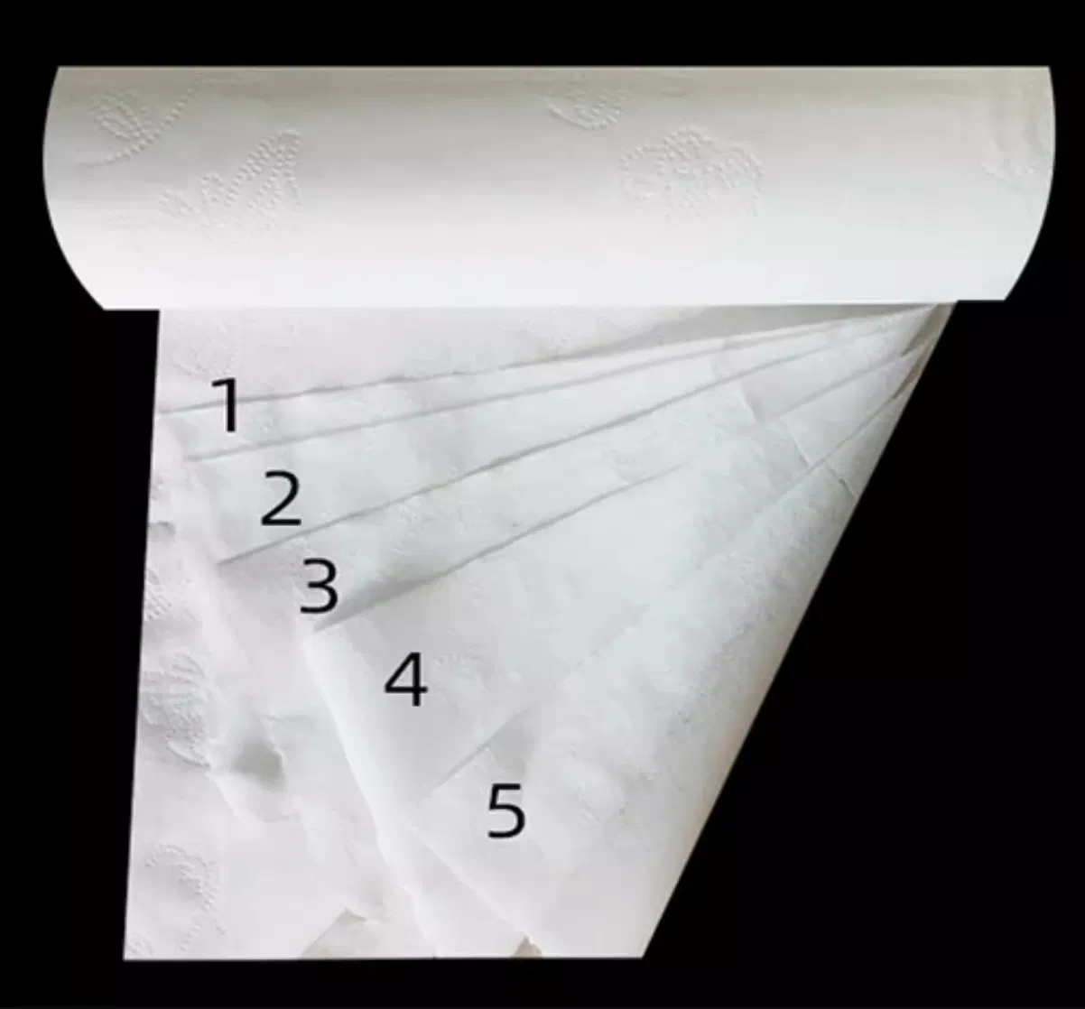 Customized Virgin Wood Pulp and Environmental Ecofriendly Soft 2ply 3ply Bathroom Tissue Toilet Paper
