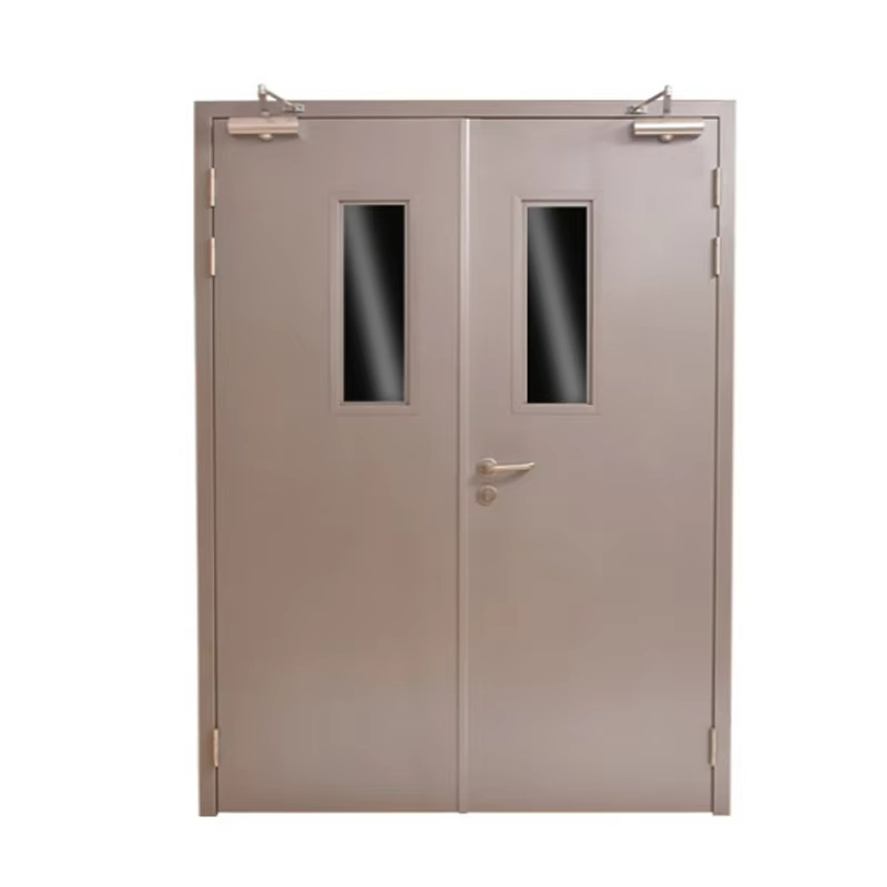 Factory Supply Steel Fire Door for School