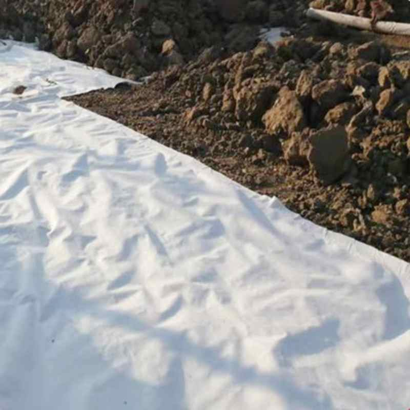 Composite Geomembrane - High Tensile Strength, Used for Slope Protection