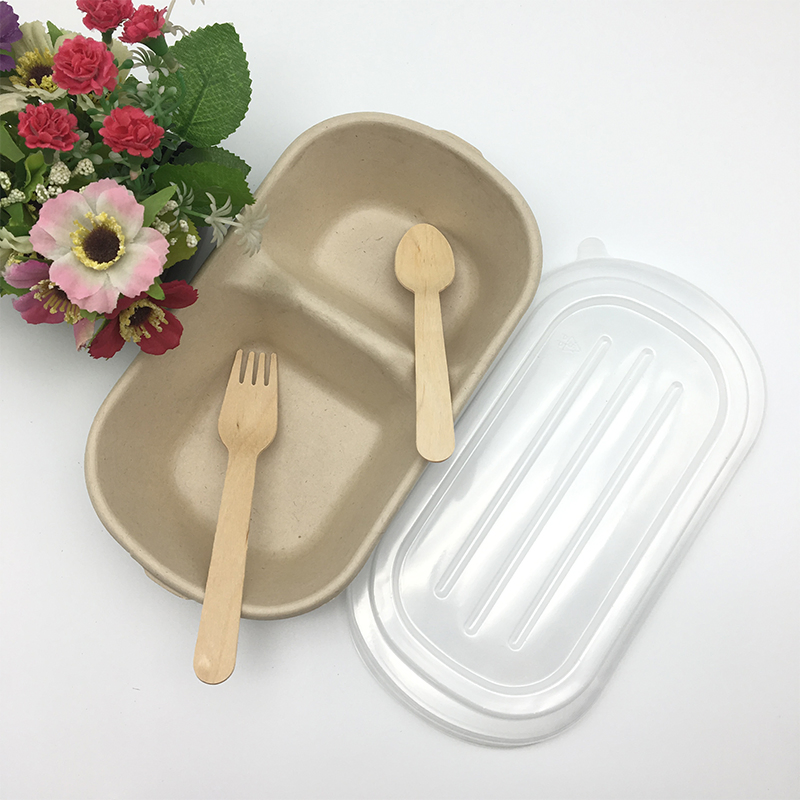 2 Compartment Bagasse Salad Bowl with Spoon and Fork