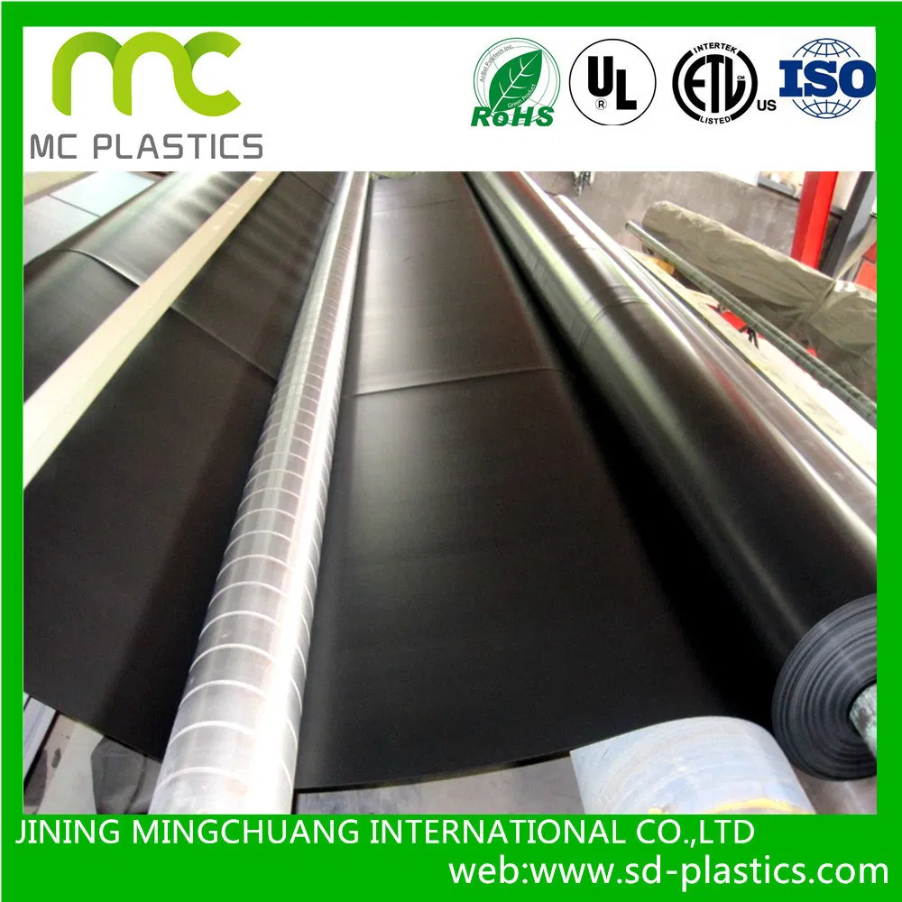 High Quality Pond Liner HDPE LDPE PVC Smooth Geomemnbrane for Fish Farm