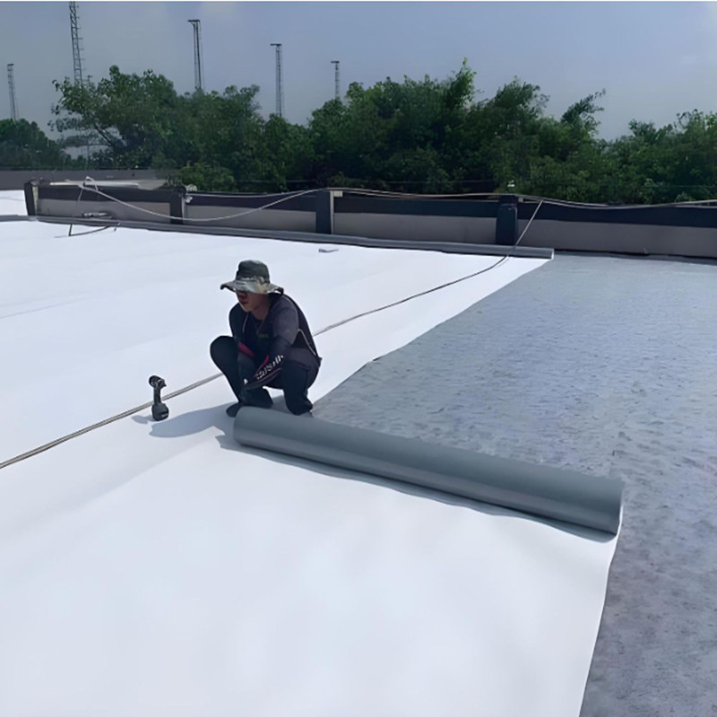 Shangze Best PVC Roofing Membrane Tpo Roofing Membrane HDPE Roofing Membrane