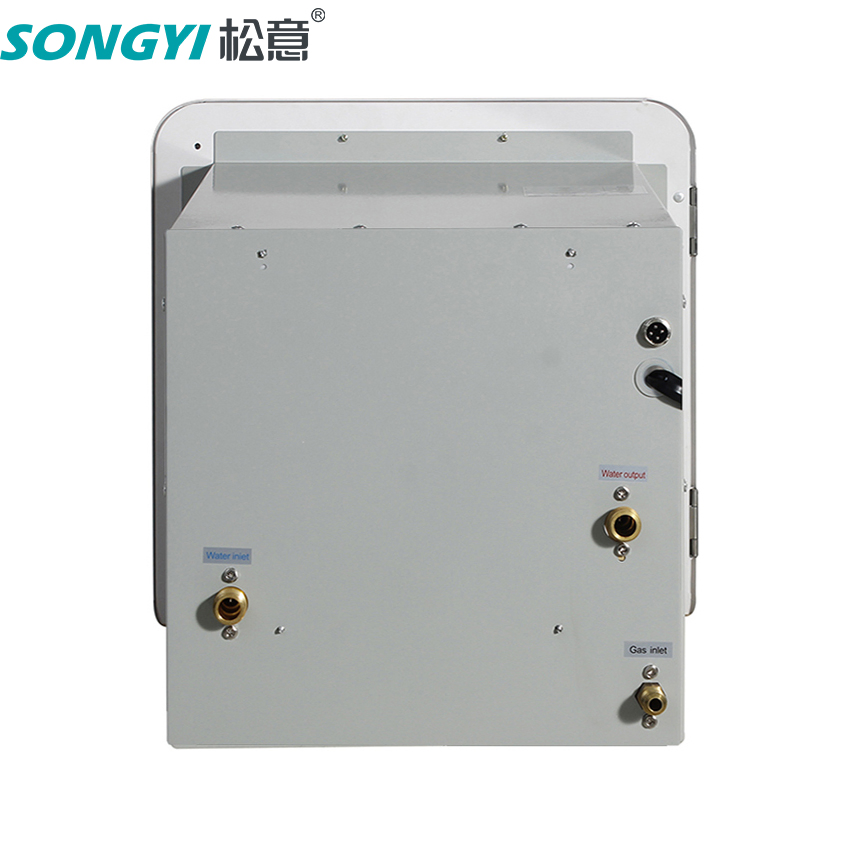 Caravans Portable RV LPG Gas Water Heater 2.2gpm 55000BTU for Camping with Remote Control