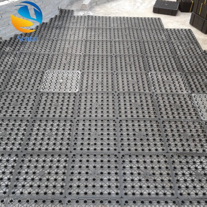 Garage Roof, Roof, Greenery, Roof, Garden, Plastic Water Storage and Drainage Board, Siphon Capillary Tunnel Concave Convex Drainage Board