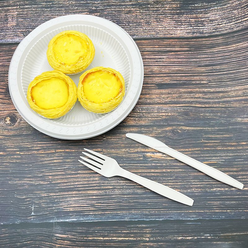 Water-Proof Biodegradable Plates 10 Inch Salad Catering White Round Plate