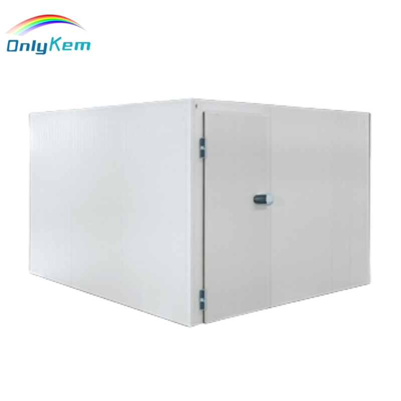 Cooling Room/Walk in Chiller for Food Processing Raw Poultry Storage Freezer