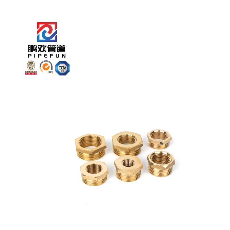 High Pressure Brass Steel Forged Thread Hex Head Bushing