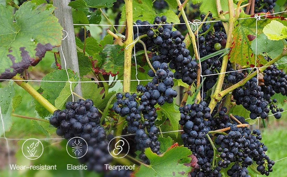 High Quality PE Material Agriculture Net or Gardening Climbing Plant Support Net Garden Net