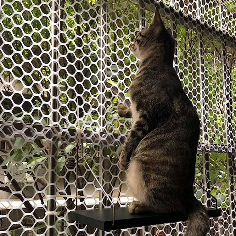 Good Quality Hot Sale Plastic Mesh Flat Netting