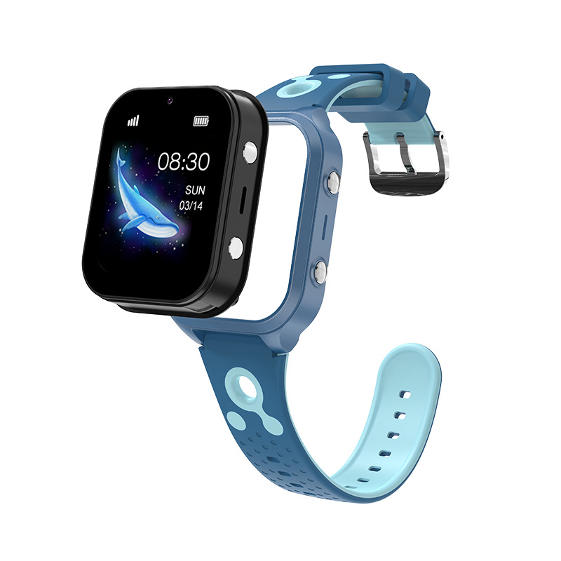 Smartwatch Meeting Safety Standards and Comparison Tools for Biometric Data and Rowing Tracking Smartwatch