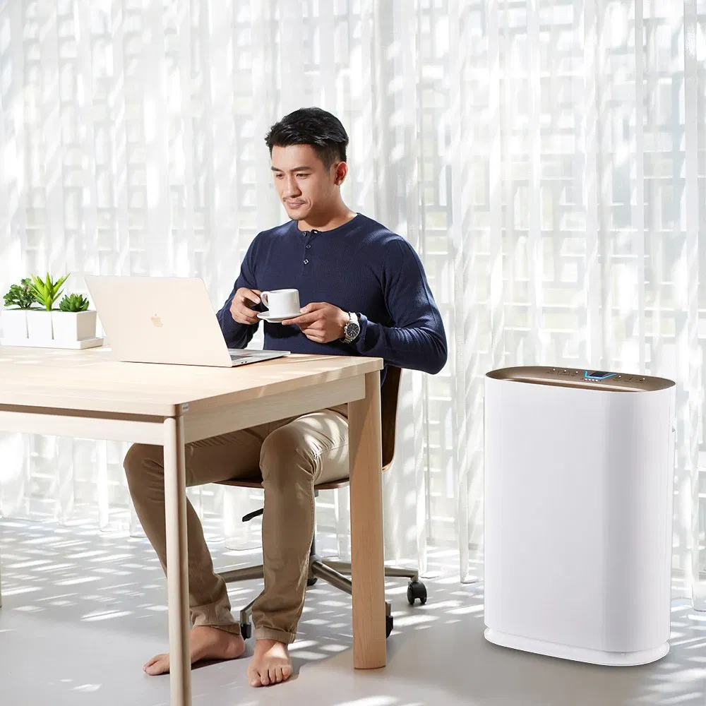 Air Purifier From China Supplier Beilian