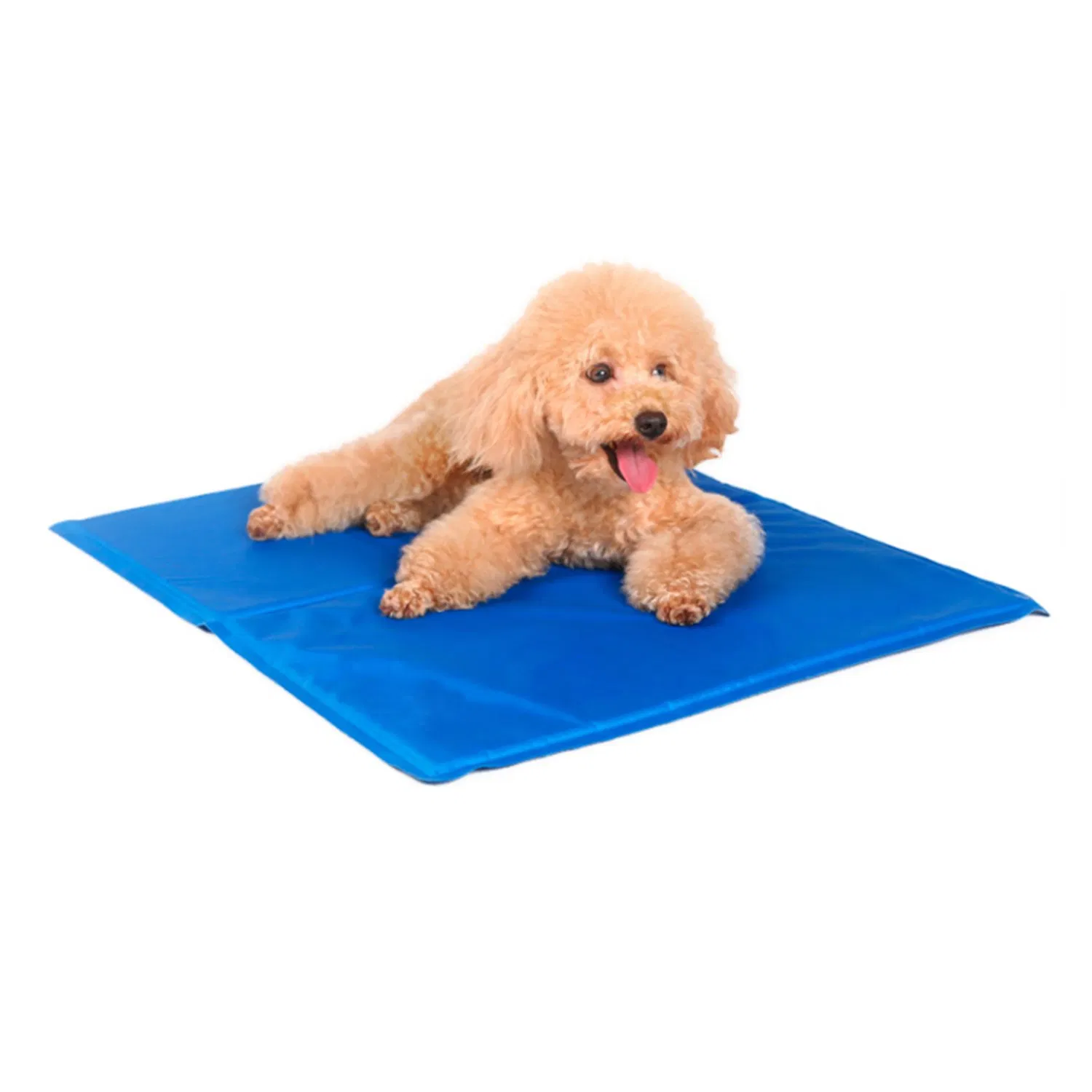 Easy Activation for Immediate Pet Cooling Mat