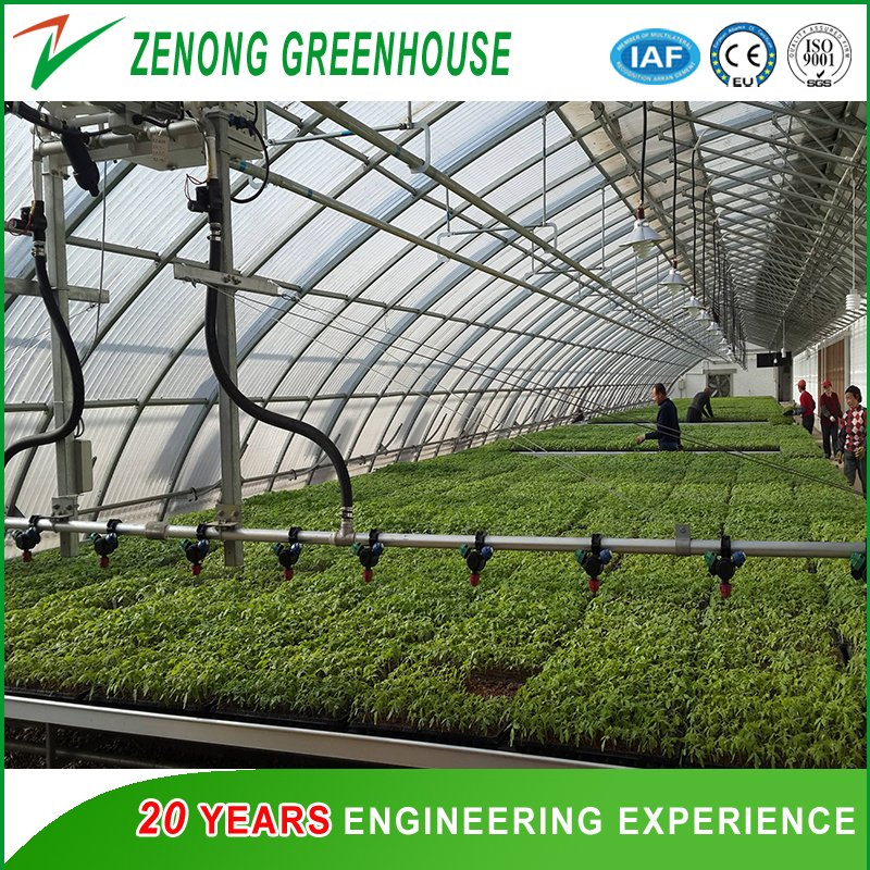 Self-Propelled Sprinkler with Three-Position Head for Greenhouse Irrigation System/Greenhouse Facility