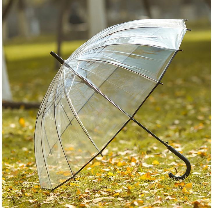 Promotion Automatic Straight Handle Long Handle Transparent Umbrella