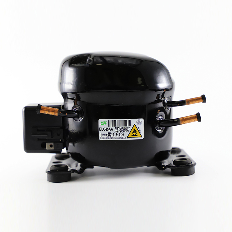 Bsf60AA Refrigeration Parts Lbp R600A AC Refrigerator Cooler Compressor 220-240V 50Hz for Sale
