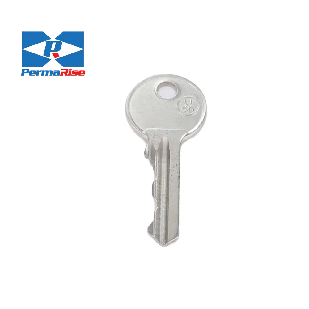 Low Price Nickel Plated Blank Room Key Door for Italy Market