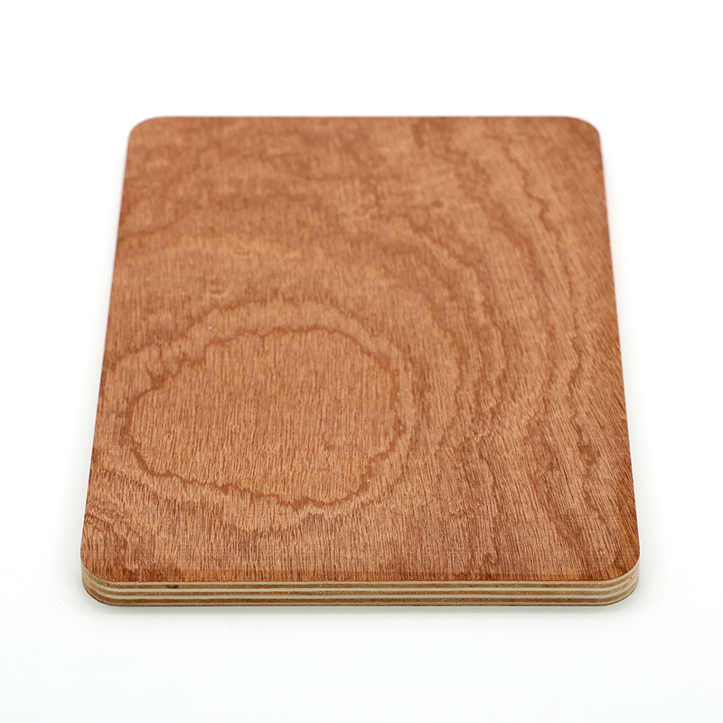 Sapele Plywood/Sapili Plywood/Bintangor Plywood