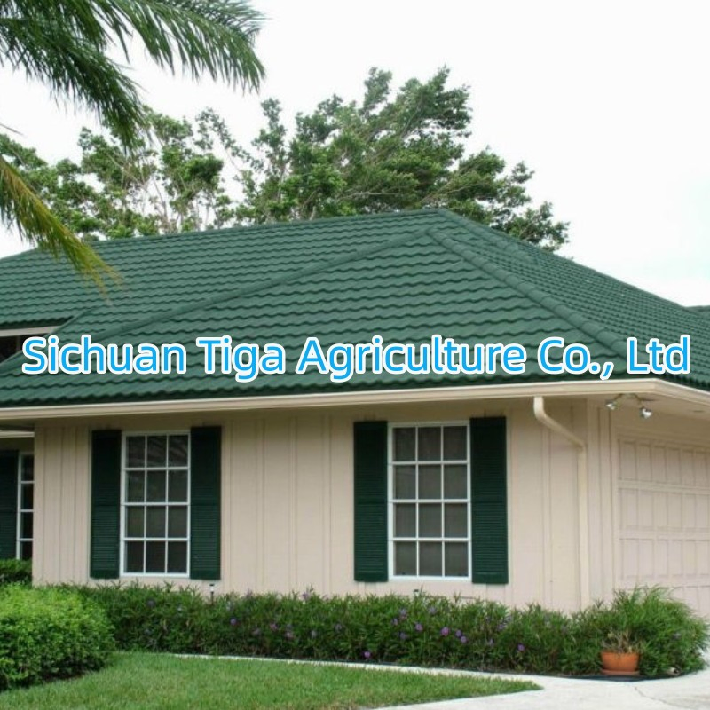 Fast Installation Steel Frame Structure Prefab Steel Villa for Apartment/ Hotel