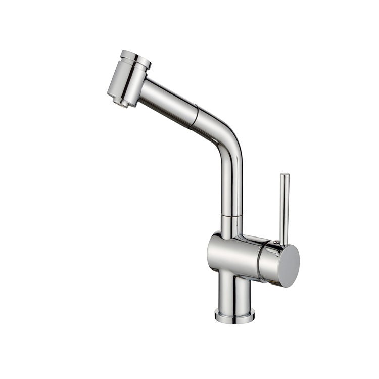 Brass Kitchen Faucet with Stainless Steel Spring with Sprayer Single Handle