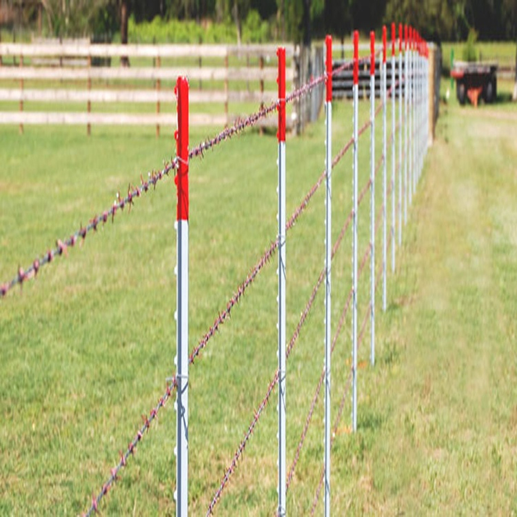 Factory Direct Price Australia Metal Fence T Shaped Temporary Fence Post