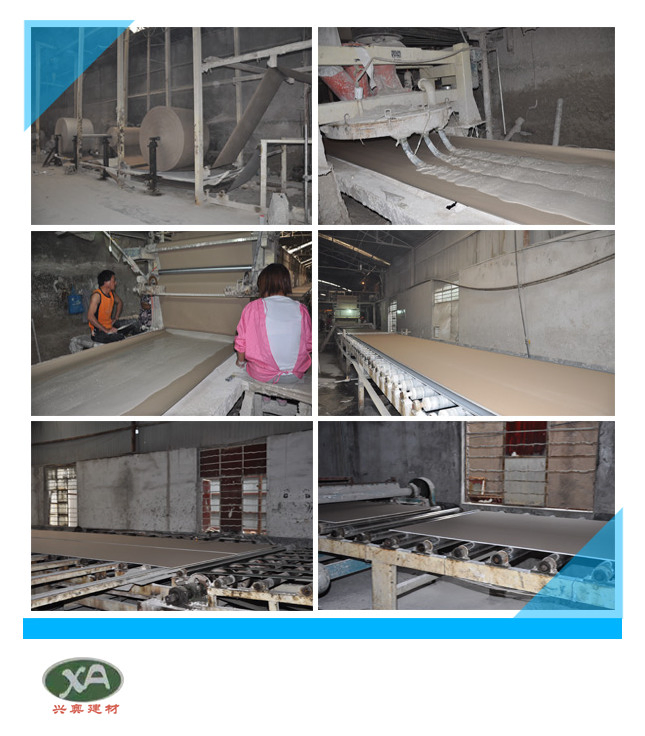 Regular Water-Proof Fire-Proof Gypsum Board for Market