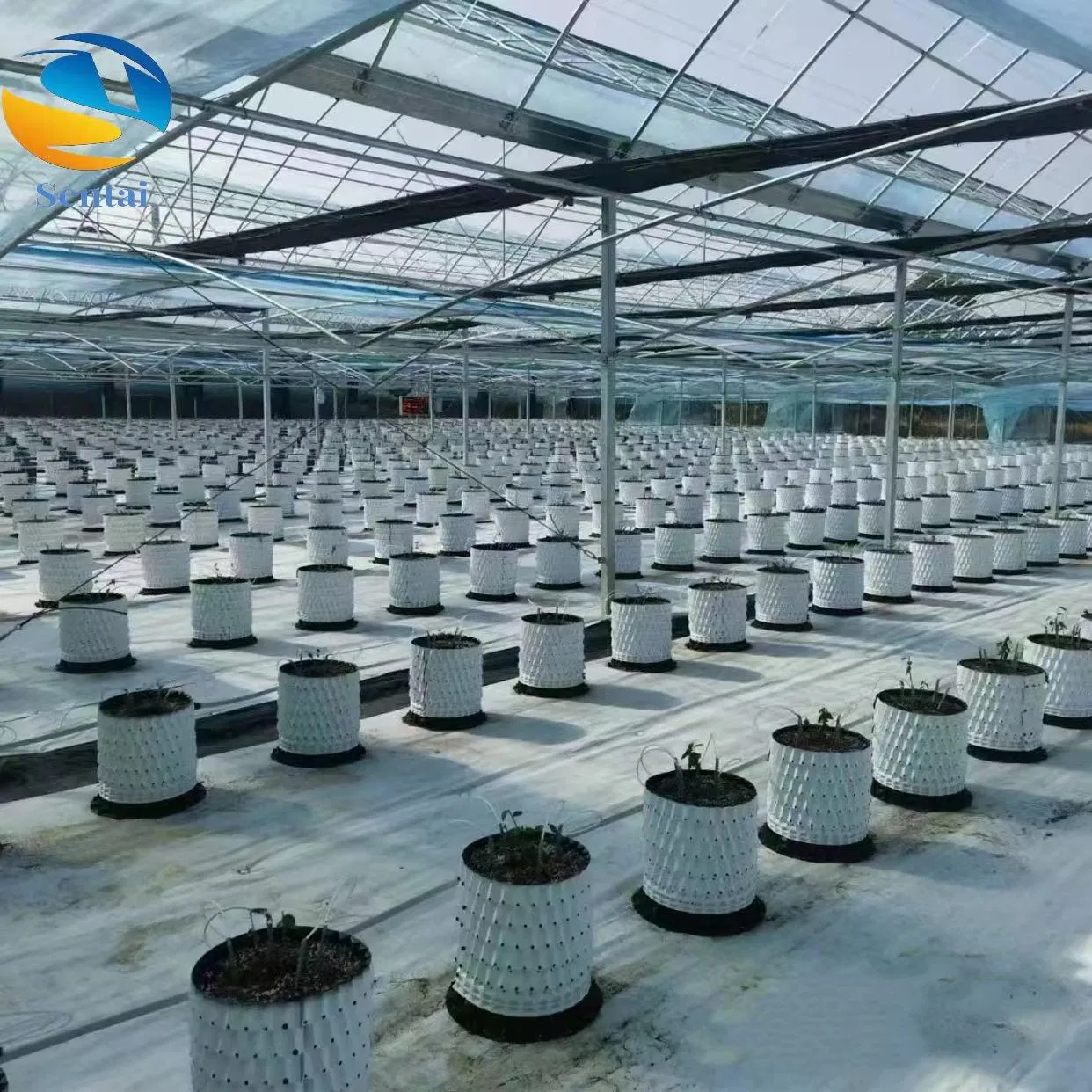 Exported to Europe and America, Grass Greenhouse, Flower Planting 90g, 100g, White Reflective Floor Cloth, White Anti Grass Cloth Cushion