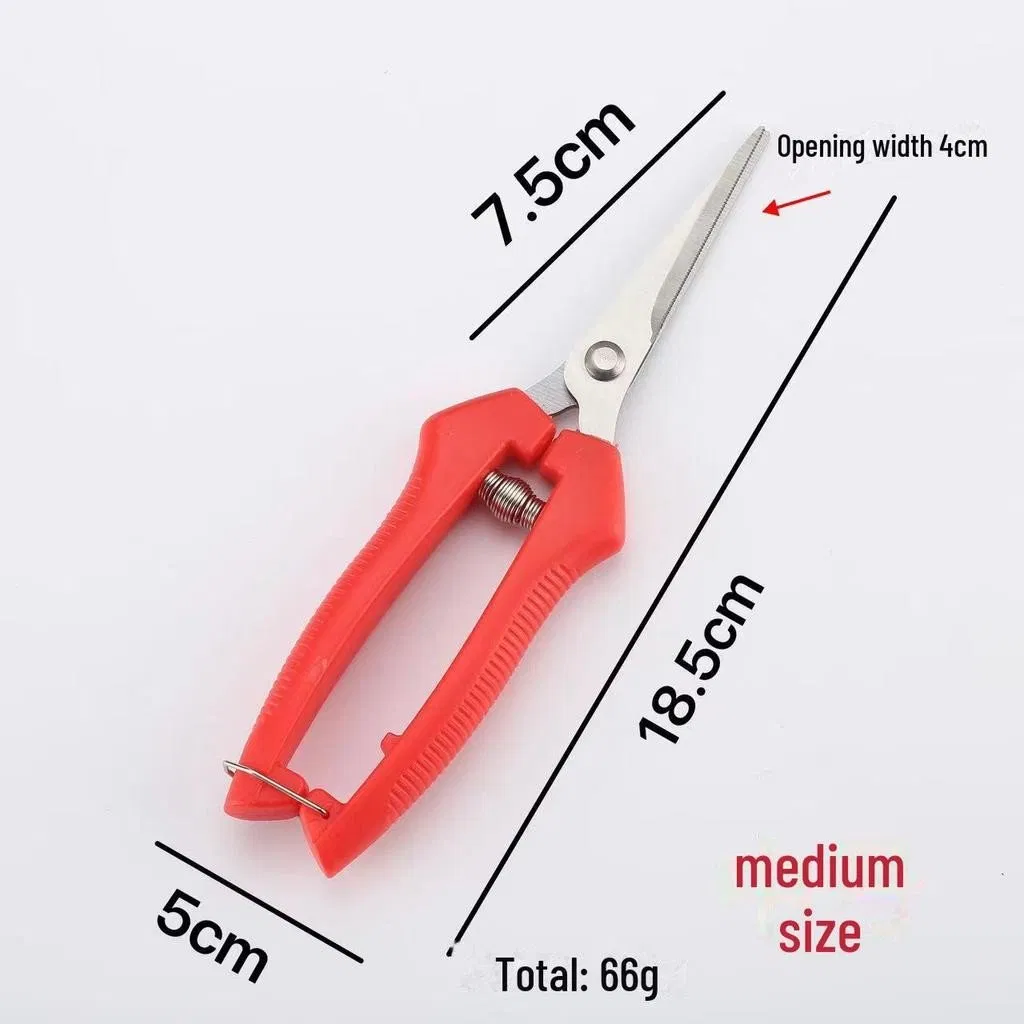 Gardening Shears Fruit Pruning and Thinning Scissors for Orange, Vegetable, and Grape Picking