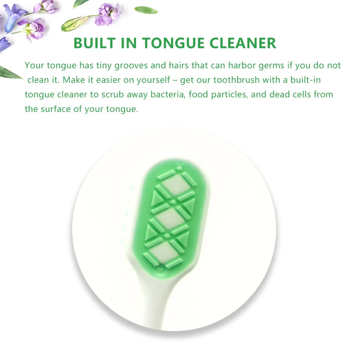 OEM Hotel Travel Plastic Box Adult Reusable Toothbrush Toothpaste Dental Kit