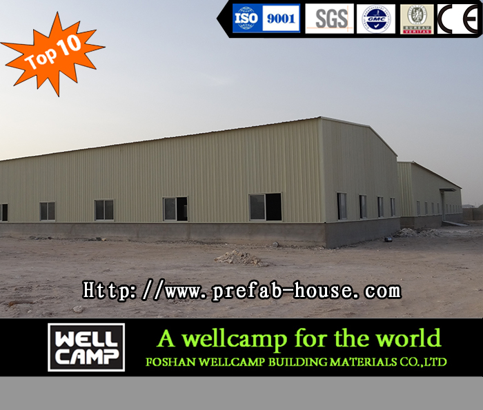 Wellcamp Hot-Sale Steel Structure Cowshed