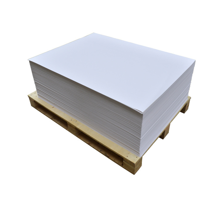 Paper Manufacturer Single Side PE Coated
