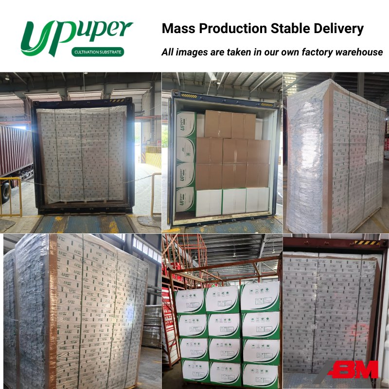 Upuper Cp R22 Propagation Seedling Mechanical Seeding Compatible Starter Rock Wool Round Plug for Tomato