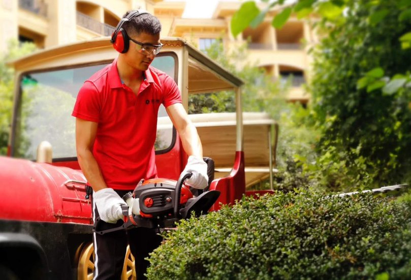 Petrol Hedge Trimmer 23cc Gasoline Euro II