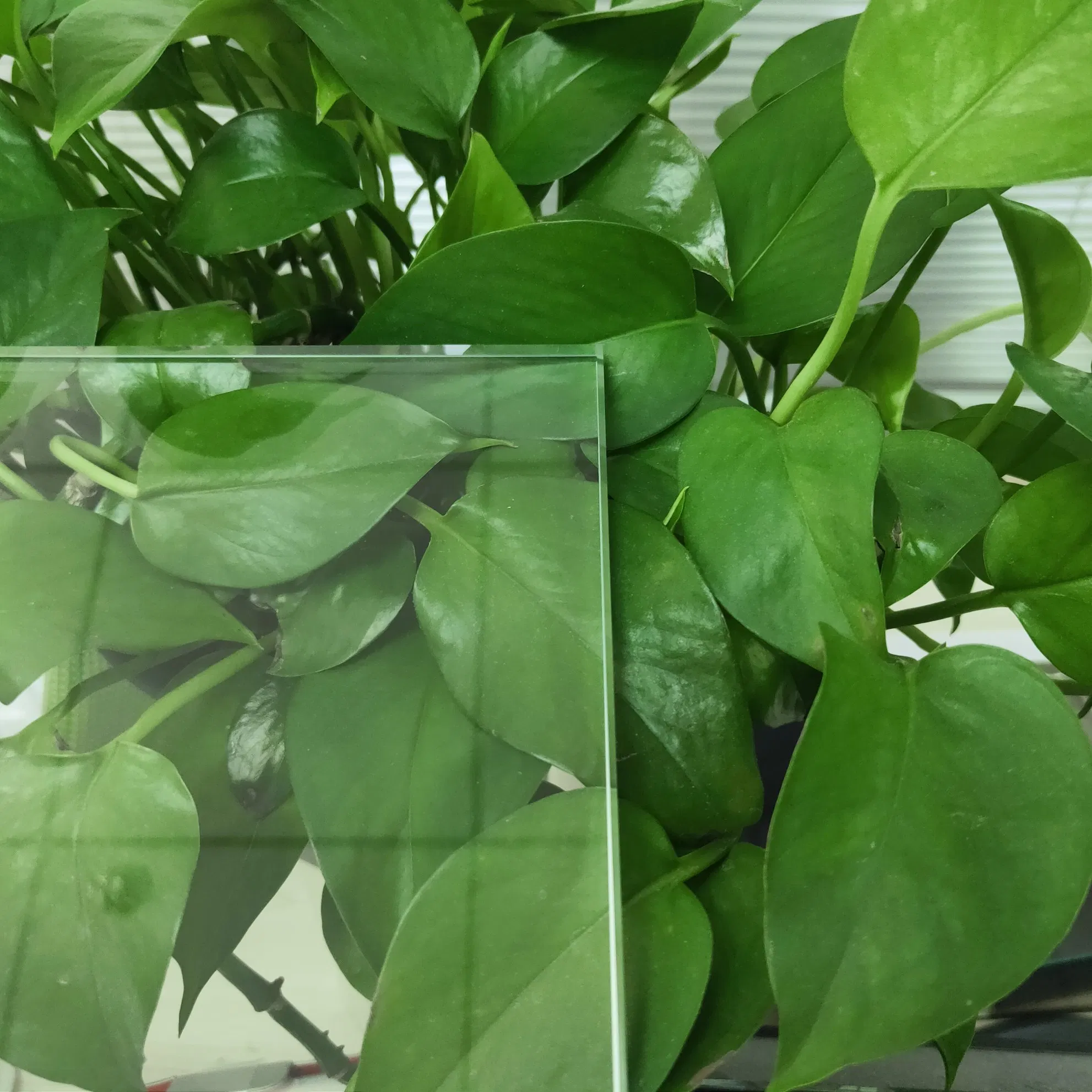6mm Bronze Curved Tempered Glass for Building Glass