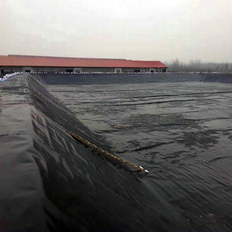 2mm & 1.5mm Thick HDPE Geomembrane Pond Liner for Agricultural Water Tank for Dam Fish Pond Landfill Shrimp Farm
